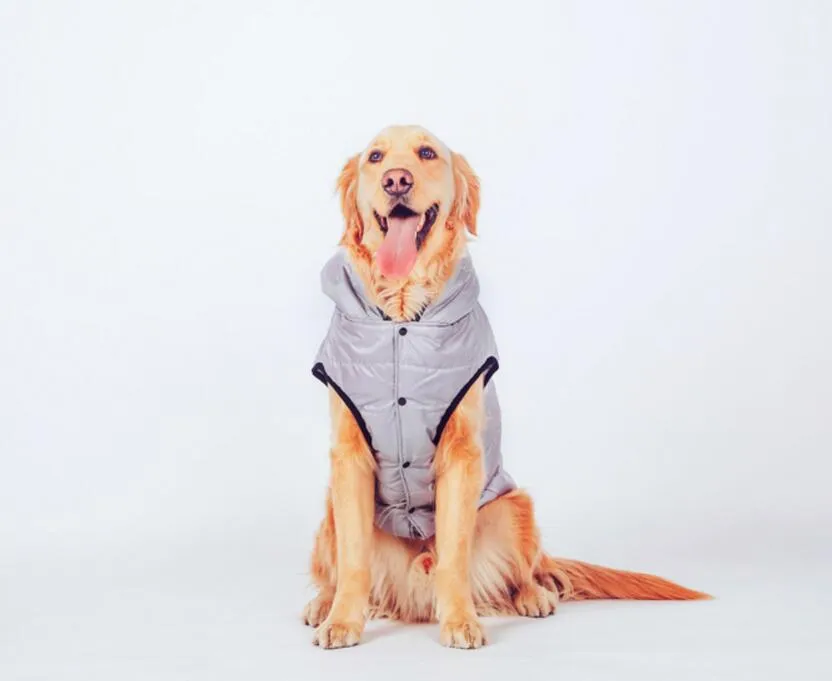 Pet Winter Warm Water Repellent Padded Dog Cloth Gray